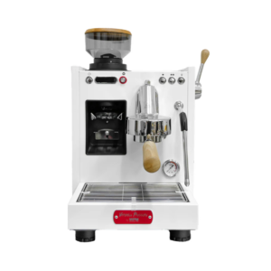 Máy pha cà phê Welhome Pro KD 310GBS
